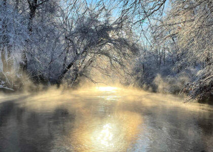 4C157487-6721-466B-8734-A56812C0298C 4C157487-6721-466B-8734-A56812C0298C