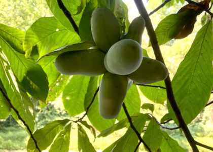 56DD602B-562B-4444-96E8-95491871D851 56DD602B-562B-4444-96E8-95491871D851